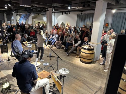 M2B-Gig-Elmshorn-Mai-2025-52-Band mit Publikum